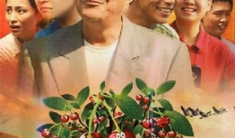 樱桃樱桃电视剧,情感纠葛中的青春岁月