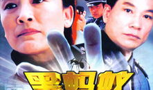 黑蚂蚁电视剧,暗夜猎手，正义守护者